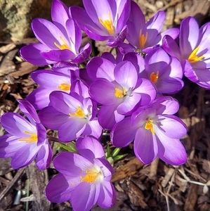 Meet your Posher, Sally